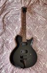 Washburn WI200PROE Projekt