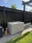 Dynbox rotting 