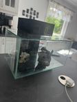 Fluval Edge 46L 