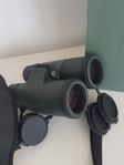 FOCUS Optimum 8x42 ED