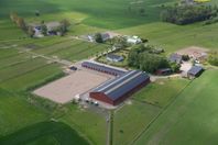 Stallplats med ridhus – 2 000 kr/månad i Frillestad/Hbg