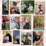 deltidsfamilj!