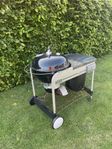 Weber Performer delux 
