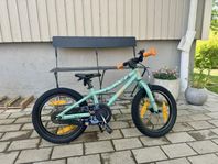 Scott Roxter 16”