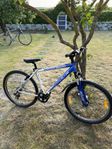Mountainbike Trek