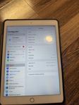 iPad 7 generation 