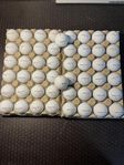 50st Wilson DeepRed A/B-Klass Golfbollar