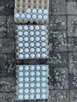 70st Pro V1/Pro V1X Golfbollar A/B klass