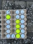 13st Titleist AVX & 5 Tp5/Tp5x Golfbollar A/B klass