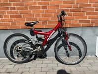 Cykel 24