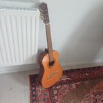 akustisk gitarr, vintage