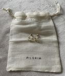 Pilgrim studs