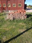 Tegelsten