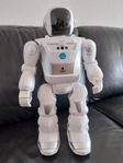 Fjärstyrd Robot