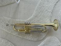 trumpet