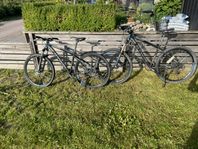 Cykel 