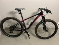 MTB