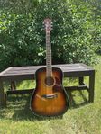 Richwood akustisk gitarr + gigbag 