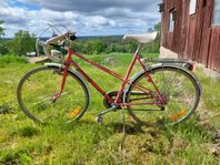 Cresent damcykel