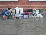 Stor samling av blomkrukor