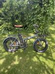 Rawbike 4X