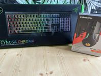 Razer Cynosa & Steelseries Rival 650 trådlös