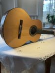 gitarr Alhambra Maestro 500