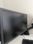 BENQ XL2411K