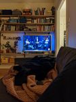 Philips TV  47 tum/47"