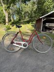 Skeppshult Promenad Damcykel