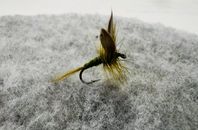 Olive Dun #12 – 6pack torrfluga för öring & harr