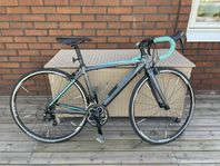 Damracer Bianchi via nirone 7 dama bianca 