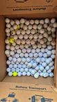 Begagnade blandade golfbollar 