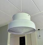 Bumling 50 cm vit med raster