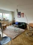Layered Shaggy Rug