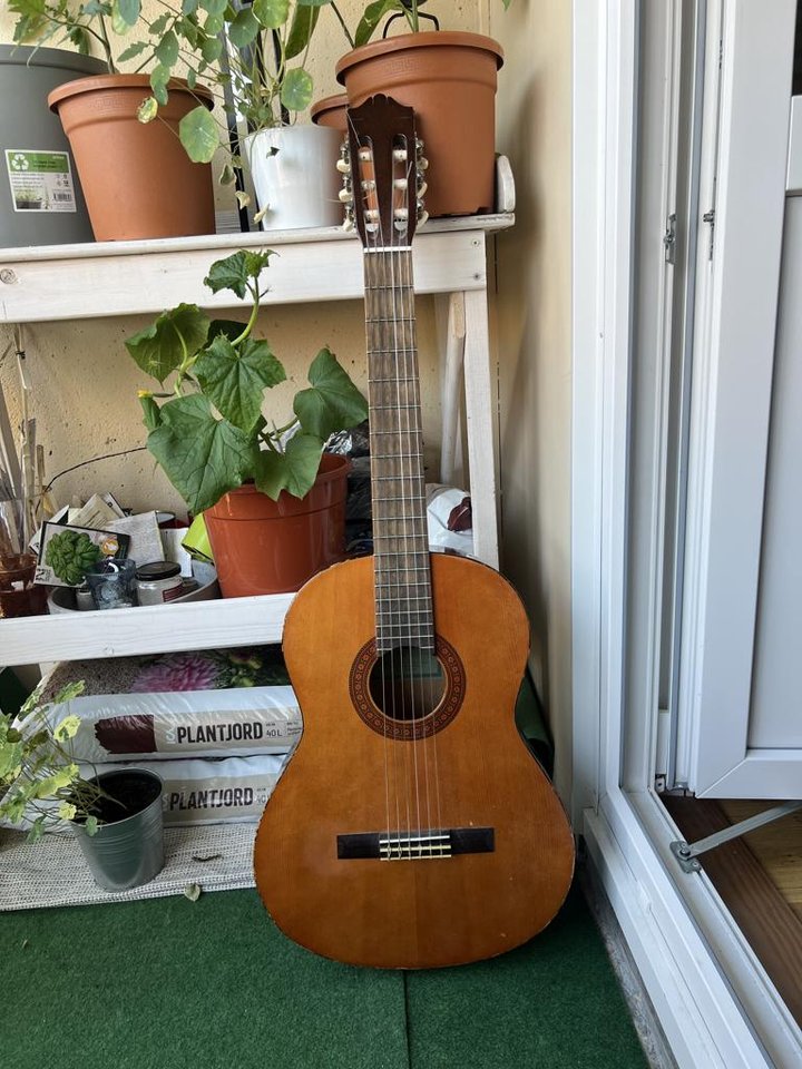 Gitarr med väska och Capo 