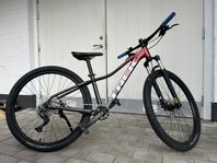 TREK Marlin 6