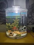 akvarium 65L