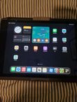 Ipad 9th gen