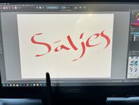 Huion Kamvas, Ritskärm på 20 tum 