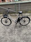 Elcykel Ecoride Ambassador