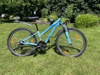 Specialized Hotrock 24”