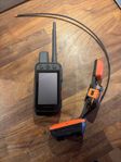 Garmin Alpha 300i + tracker