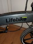 Lifebike hybrid