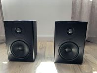 Dynaudio Xeo 2 - Active Speaker