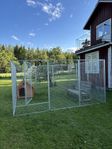 Hundgård från demex, modell buster (för större hundraser