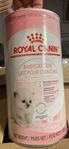 mjölkersättning kattunge royal canin