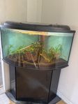 akvarium
