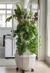 Tower Garden Home med LED-Belysning