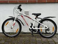 Specialized Hotrock 20 tum (Sexväxlad)